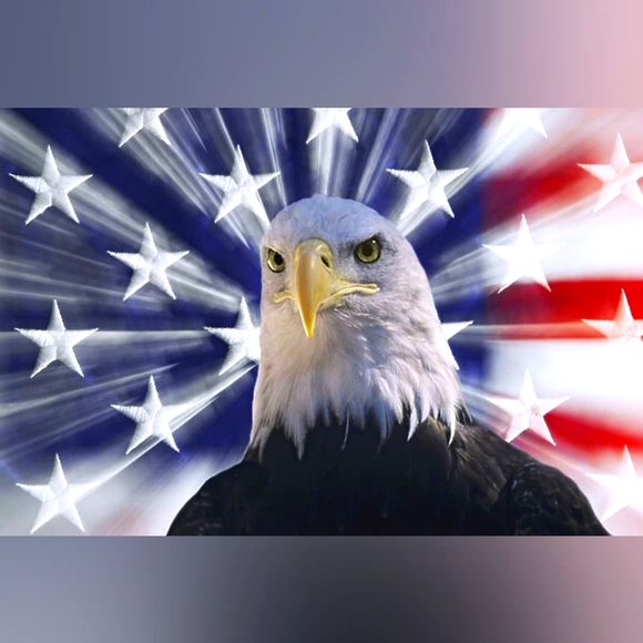 💐 S 💕 VS Dream Angels Rosebud Embroidery Crotchless V-String Panty 💐 - Picture 15 of 16